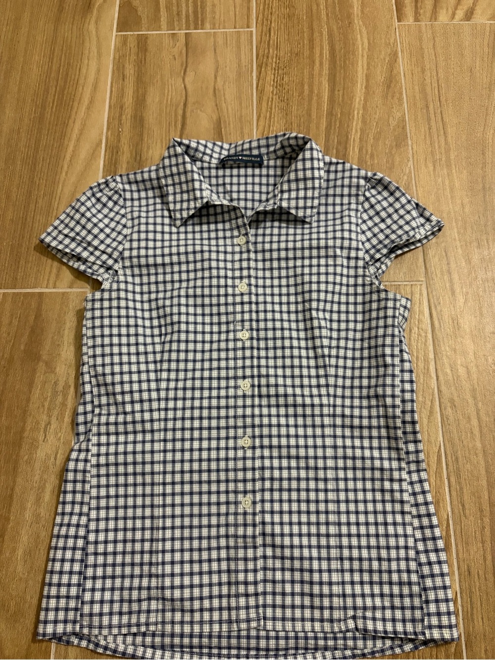 Brandy Melville Blue and White Checked Button-Up Mini Dress